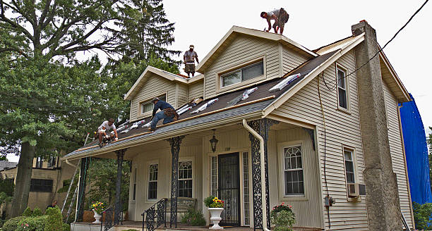 Best Shingle Roofing Installation  in Unadilla, GA